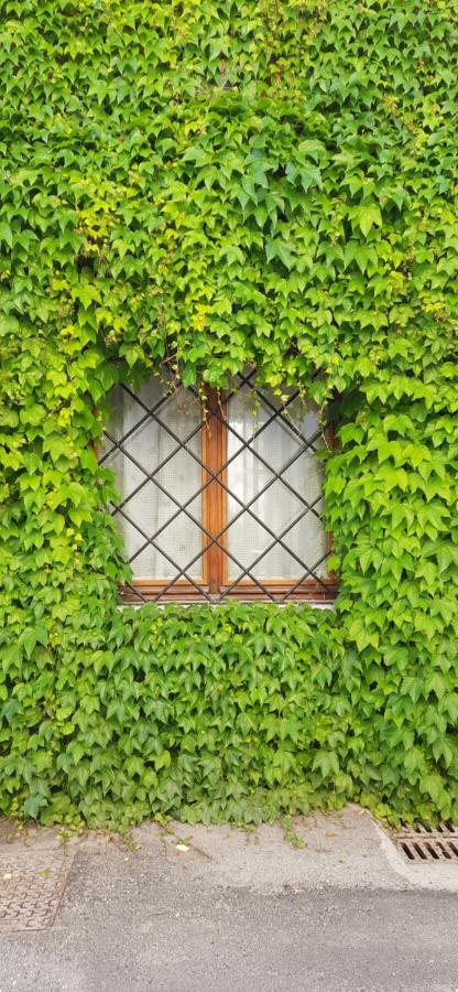 Il Giardino Del Gallo Кераско Екстер'єр фото