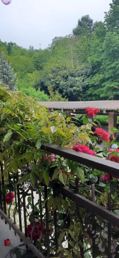 Il Giardino Del Gallo Кераско Екстер'єр фото