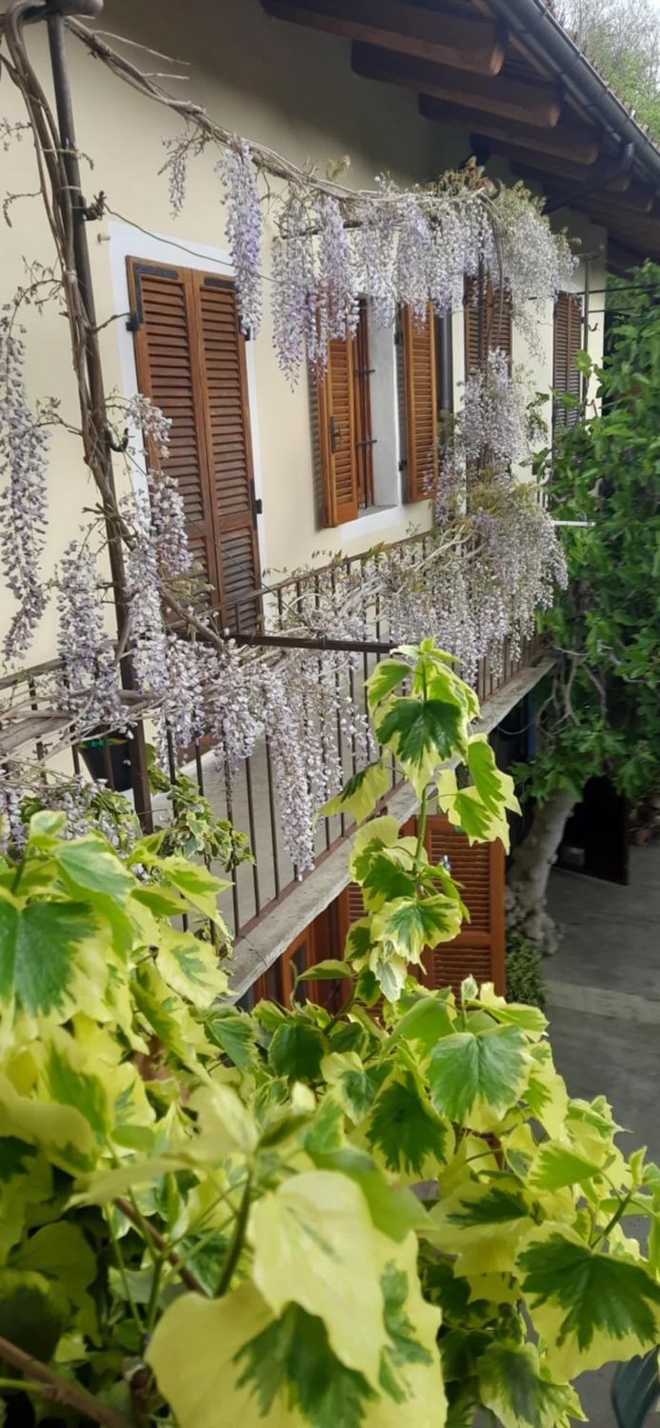 Il Giardino Del Gallo Кераско Екстер'єр фото