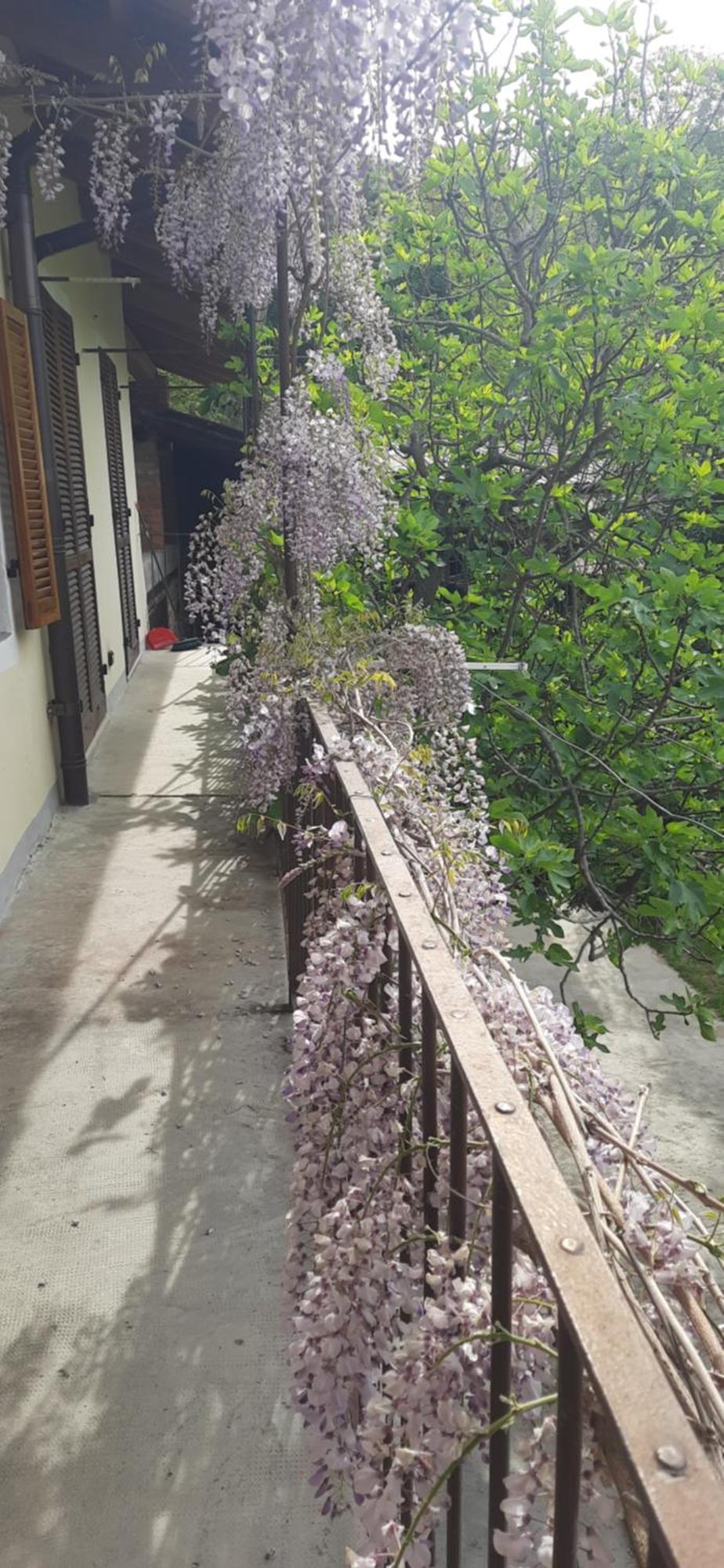 Il Giardino Del Gallo Кераско Екстер'єр фото