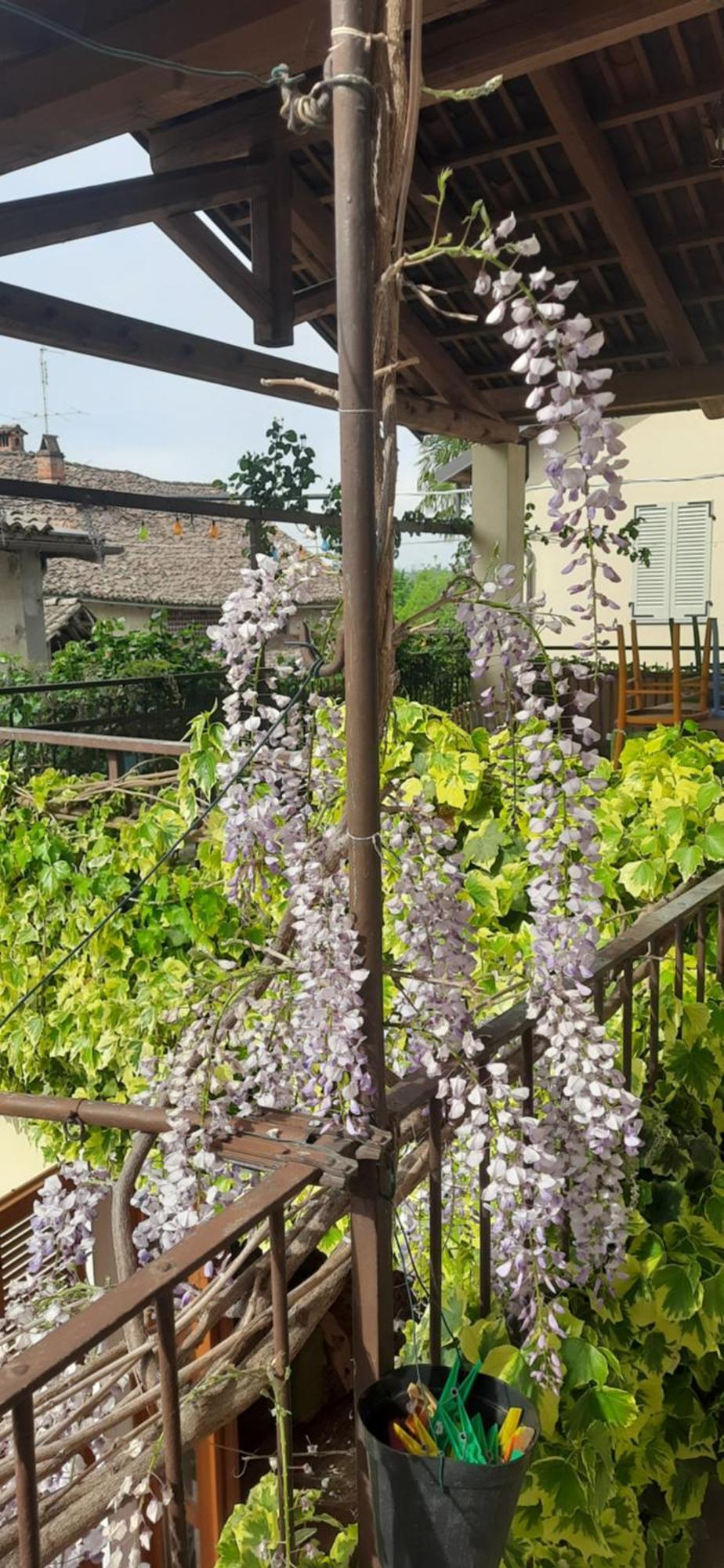 Il Giardino Del Gallo Кераско Екстер'єр фото