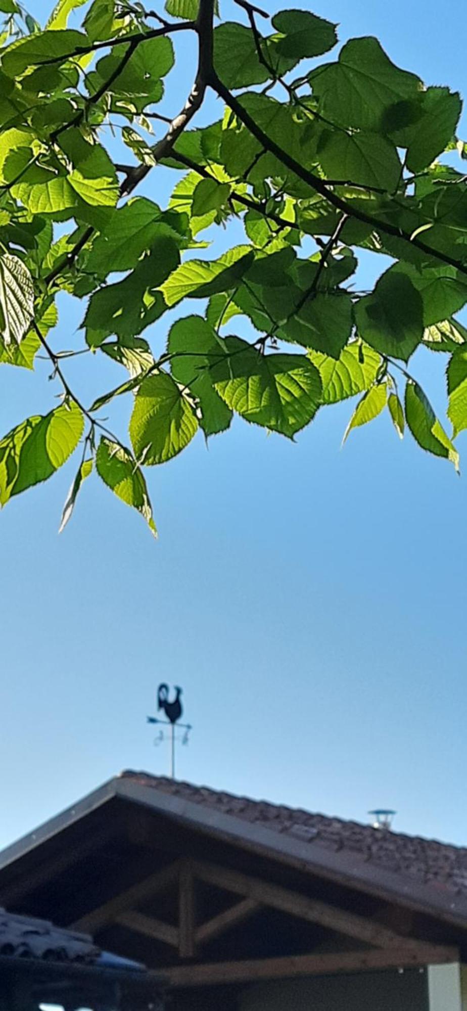 Il Giardino Del Gallo Кераско Екстер'єр фото
